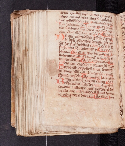 lower flyleaf 1 v